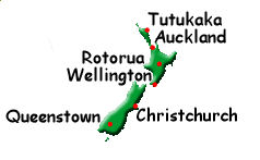 New Zealand Dive Option 1 [NZD1]
